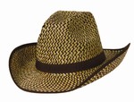 Western Hat with Brown Trim